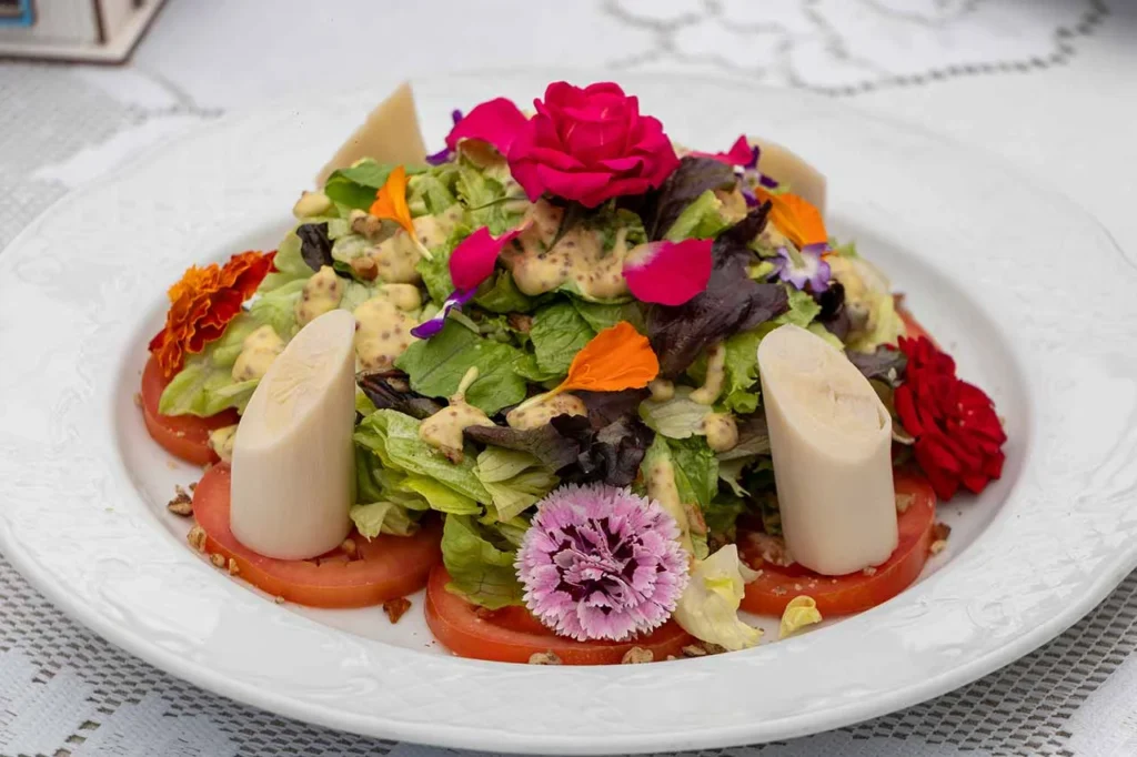 Gastronomia Holandesa